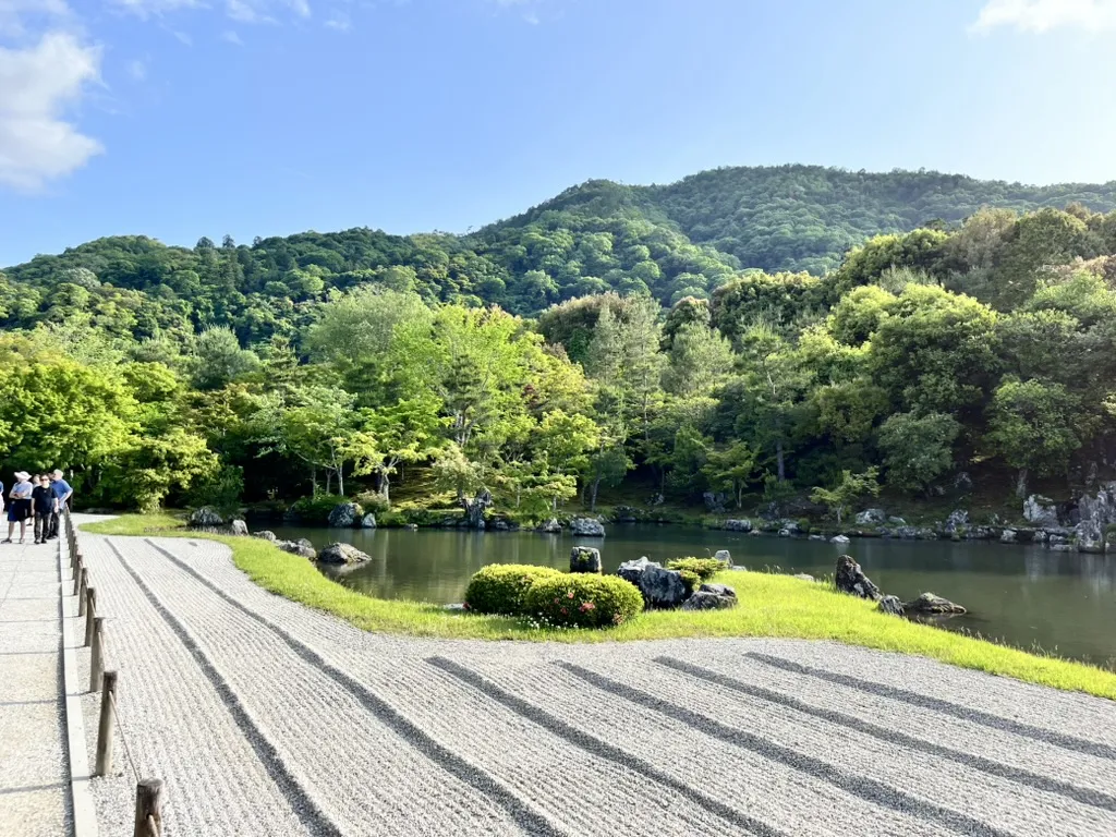 arashiyama bamboo forest