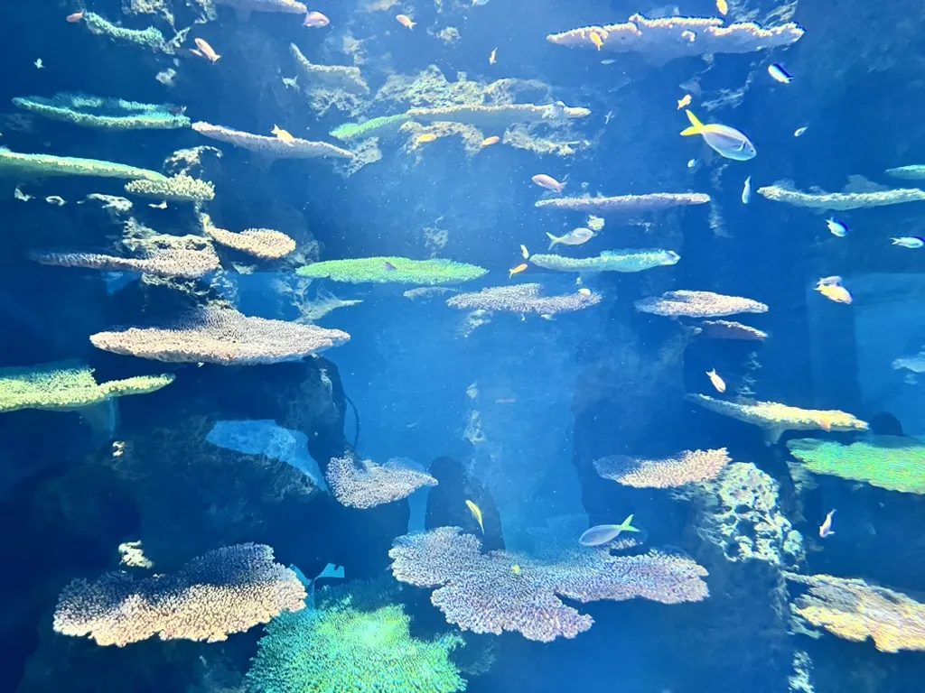 aquarium