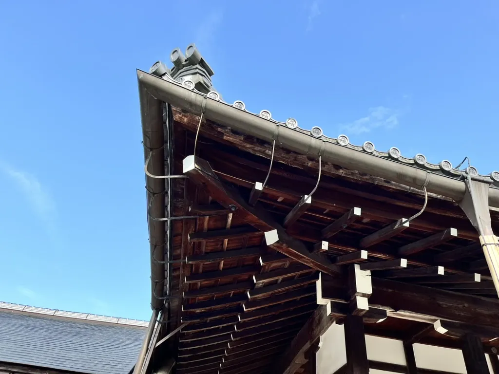 arashiyama bamboo forest