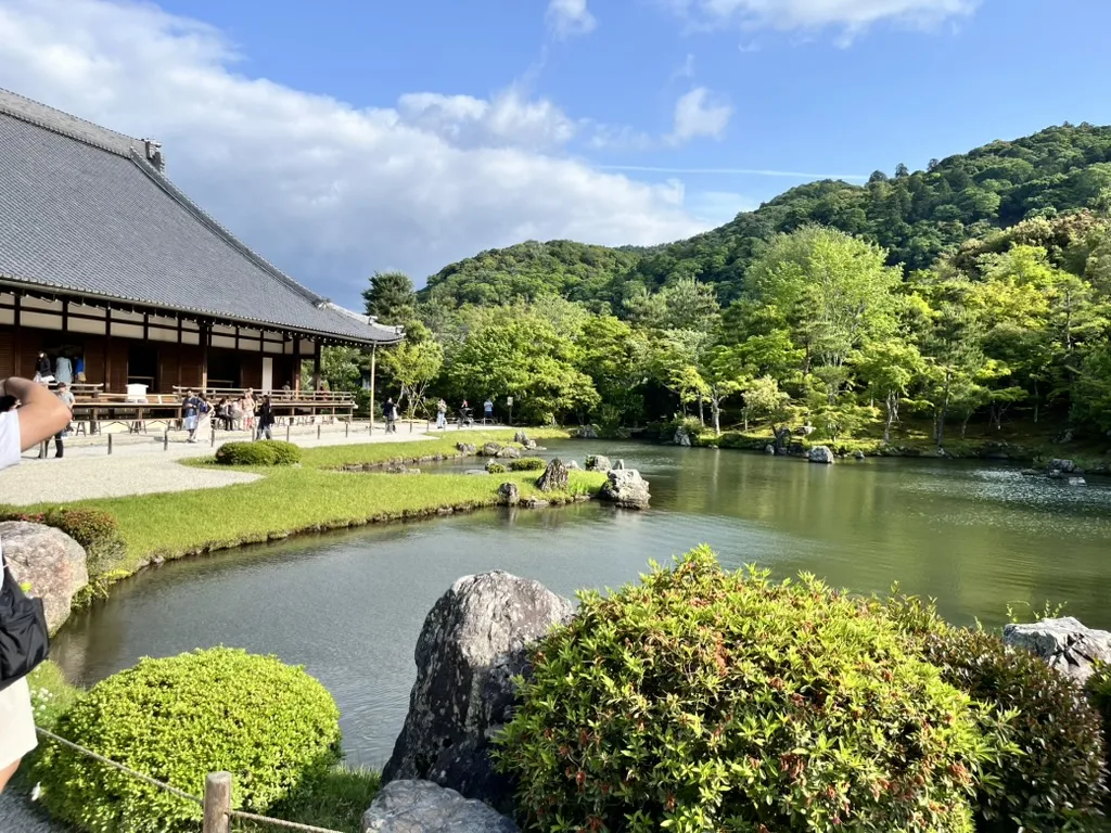 arashiyama bamboo forest