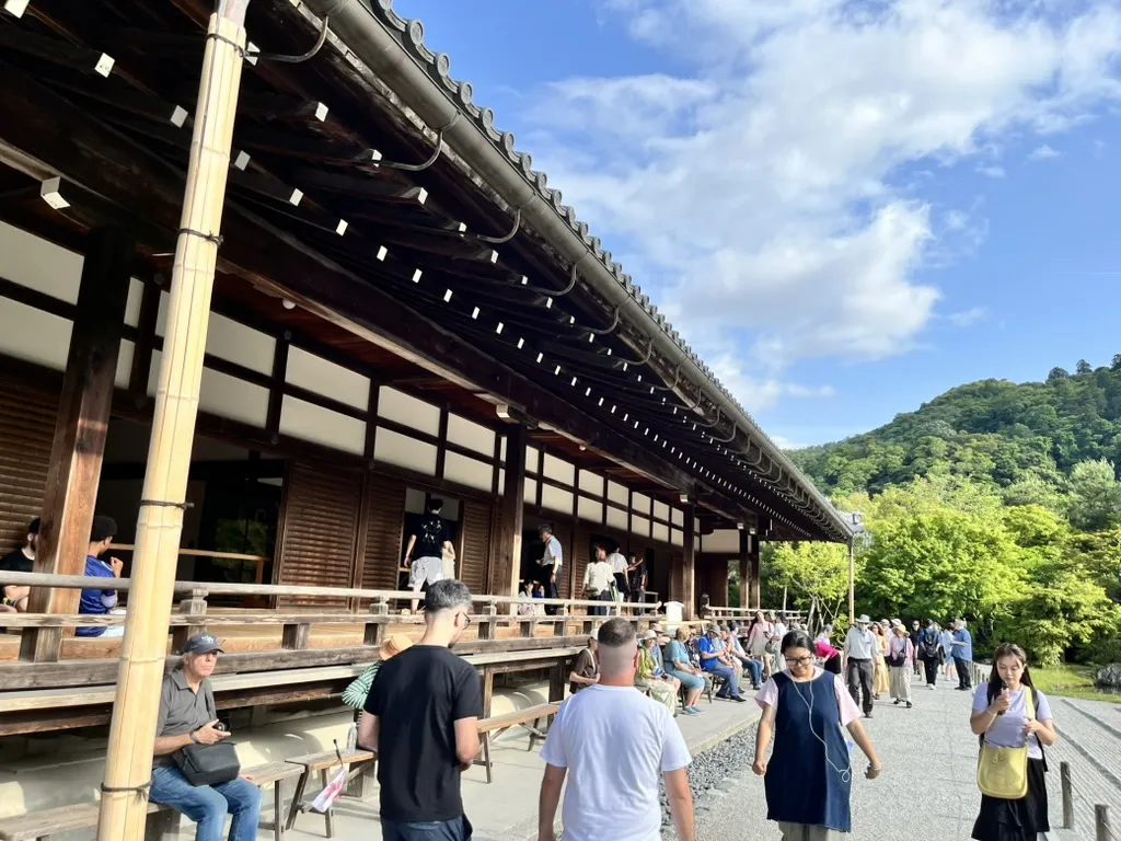 arashiyama bamboo forest